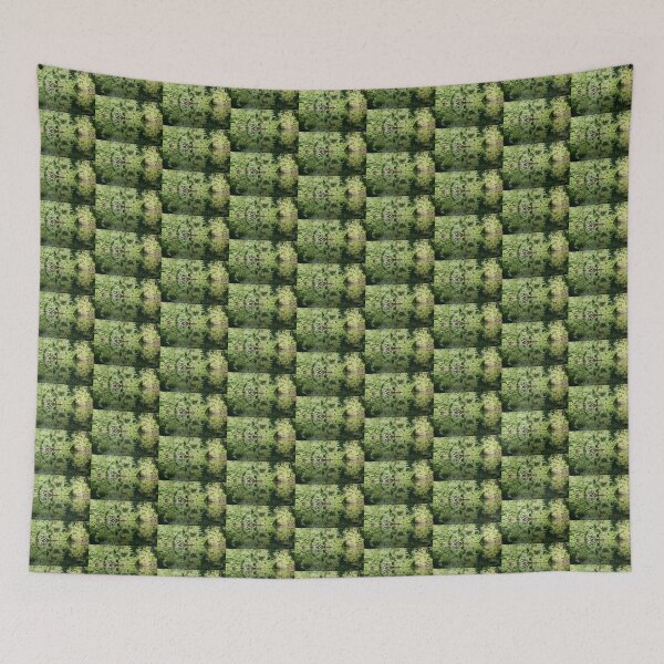 Item preview, Central Park Reflections designed and sold by Trish Meyer.