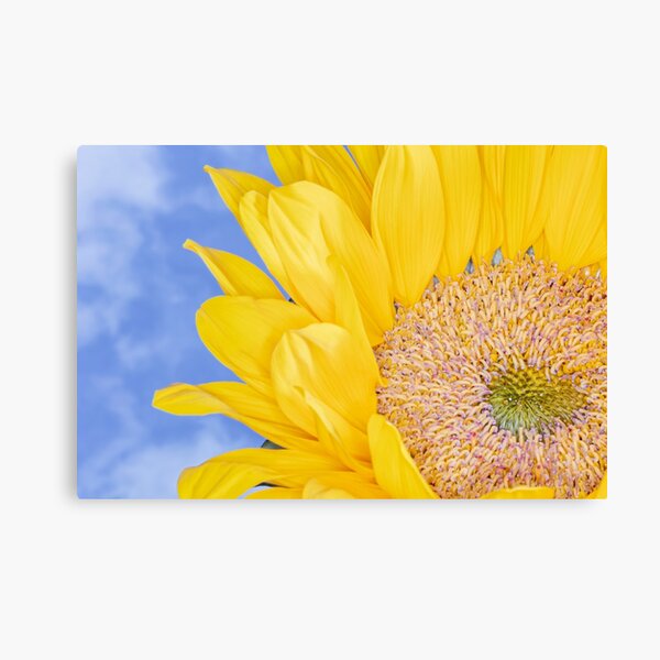 Blue Flower Blossom Stretched Canvas Print Framed Wall Art Decor Painting F110