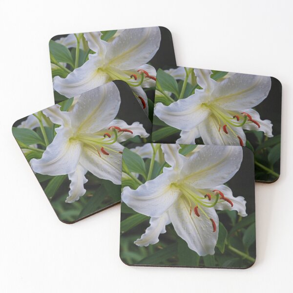 Item preview, The Lily Lingers designed and sold by Michiale.
