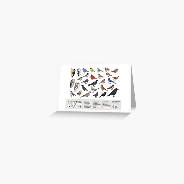 Item preview, Virginia - Backyard Birds of Virginia Field Guide Print - Bird Art Print - BirdsandFriends.co designed and sold by BirdsandFriends.