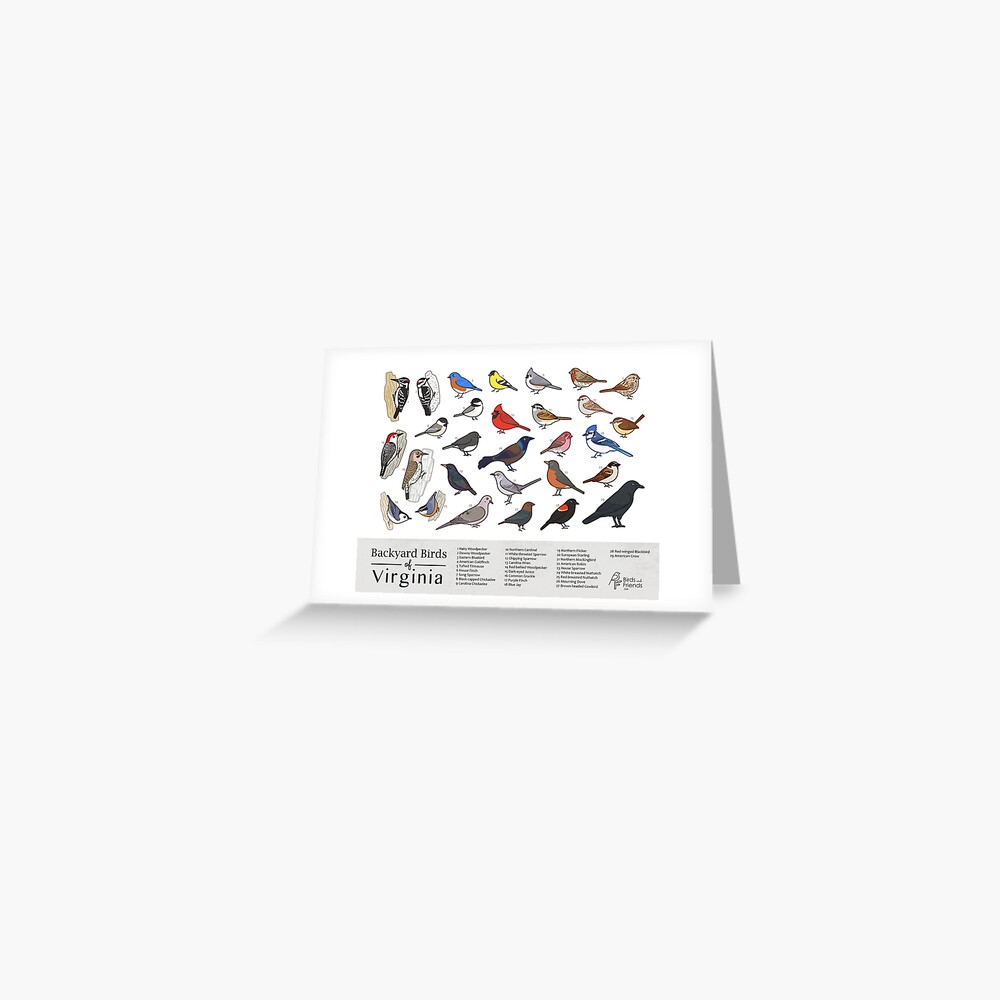 Item preview, Greeting Card designed and sold by BirdsandFriends.