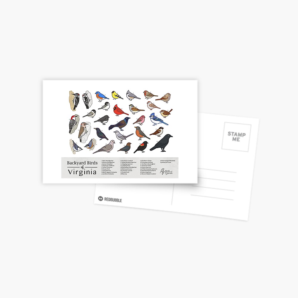 Item preview, Postcard designed and sold by BirdsandFriends.