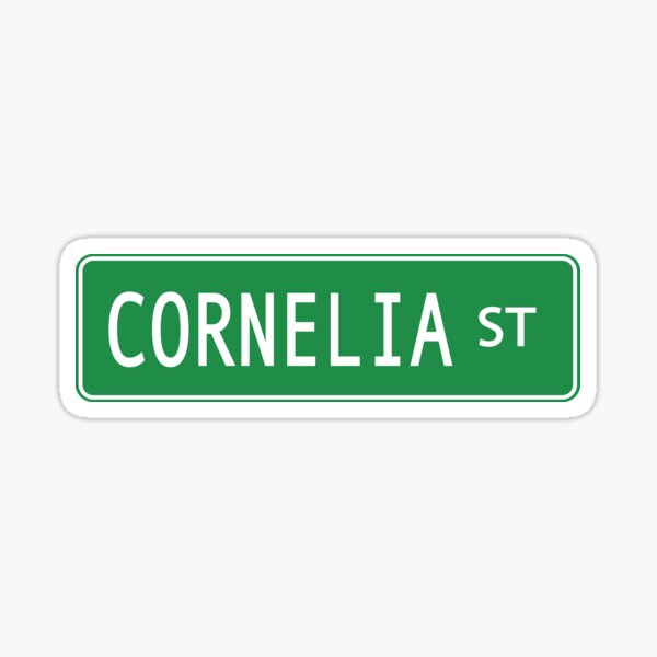 Swift Cornelia Street Inspired Pouch, Swift Bag, Swift Pouch, Swift Gift,  Cornelia Street Swift, Lover Swift -  Israel