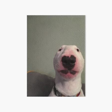 @PupperNelson: "Walter" Original Art Board Print