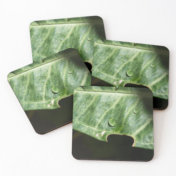 Item preview, Inspiring Wall Art Home Decor Leaf Bite designed and sold by visual-samadhi.