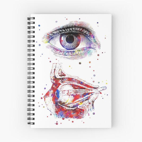 Item preview, Human eye, eye anatomy designed and sold by Rosaliartbook.