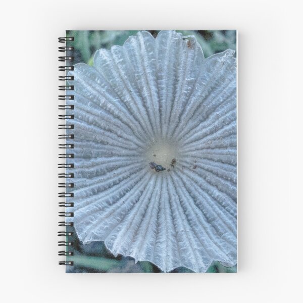 Item preview, Fungi - Tiny Mushroom  designed and sold by DPalmer.