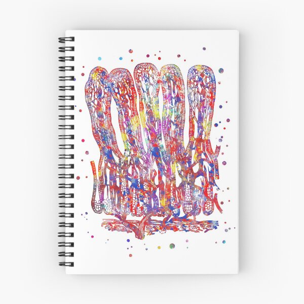 Artikelvorschau, Darm, Darmzotten, Verdauungssystem entworfen und verkauft von Rosaliartbook.