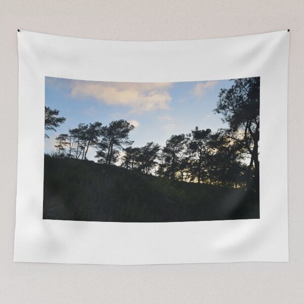 Item preview, Torrey Pines, La Jolla, California designed and sold by Mike Kunes.