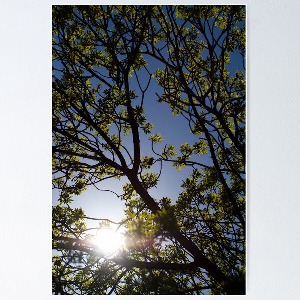 Item preview, Spring day designed and sold by Jo  Hall.