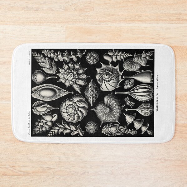 Item preview, Plate 81. Thalamophora. an older name for the Foraminifera, amoeboid protozoans. designed and sold by Squirrox.