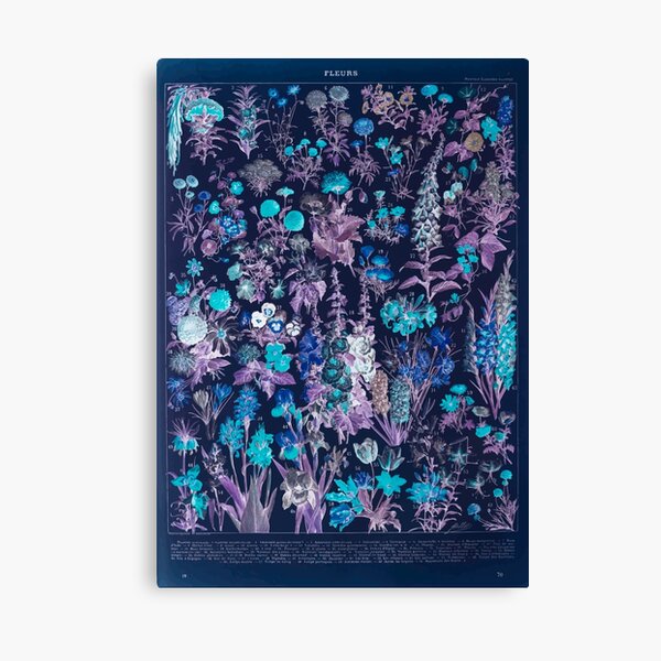 Item preview, Adolphe Millot fleurs A Inverted designed and sold by wetdryvac.
