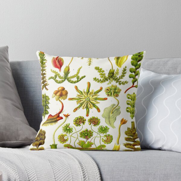 Item preview, Plate 82. Hepaticae (now Marchantiophyta), the liverworts. designed and sold by Squirrox.