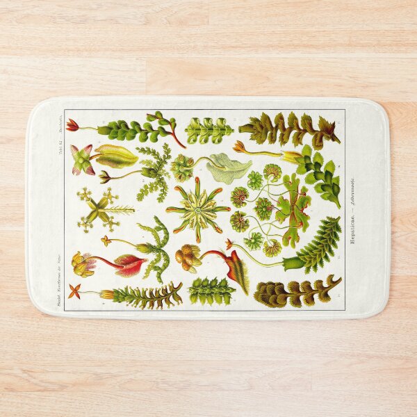 Item preview, Plate 82. Hepaticae (now Marchantiophyta), the liverworts. designed and sold by Squirrox.