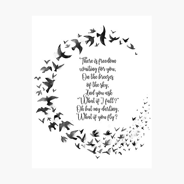 What if I fall, what if you fly quote Photographic Print