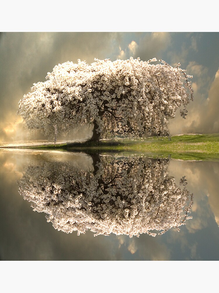 Thumbnail 3 of 3, Canvas Print, The Glory of Spring designed and sold by believer9.