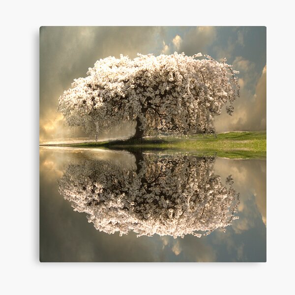 The Glory of Spring Canvas Print