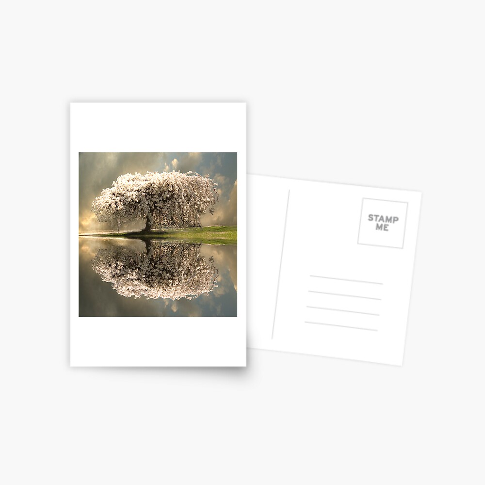 Item preview, Postcard designed and sold by believer9.