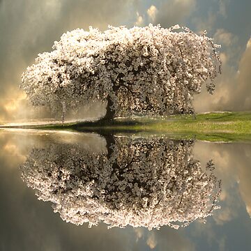 Artwork thumbnail, The Glory of Spring by believer9