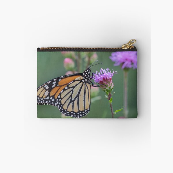 Item preview, Monarch 2019-4 designed and sold by Thomasyoung.