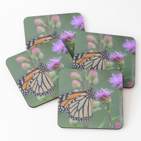 Item preview, Monarch 2019-4 designed and sold by Thomasyoung.