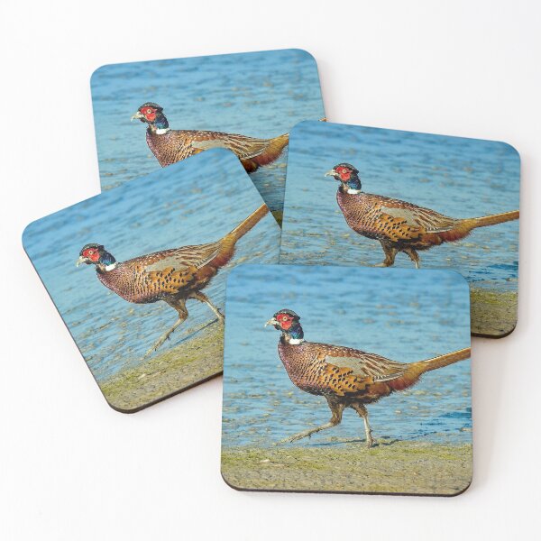 Item preview, Common Pheasant designed and sold by Strawflower Oasis.
