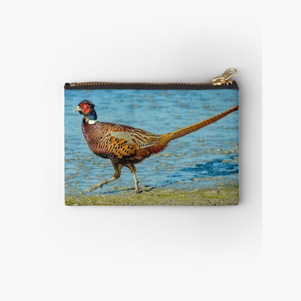 Item preview, Common Pheasant designed and sold by Strawflower Oasis.