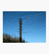 Untitled Photographic Print
