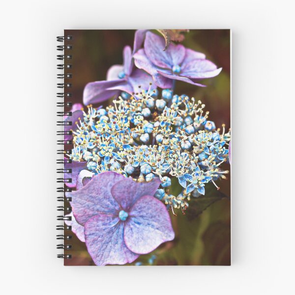 Item preview, Hydrangea in Transition designed and sold by Martha Sherman.