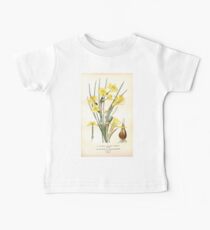 Favourite flowers of garden and greenhouse Edward Step 1896 1897 Volume 4 0111 Jonquil and Daffodil Baby Tee