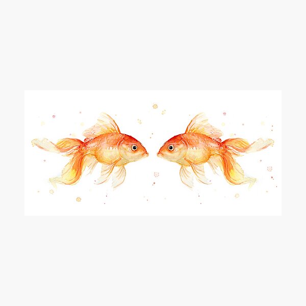 Item preview, Goldfish Love designed and sold by Olga Shvartsur.