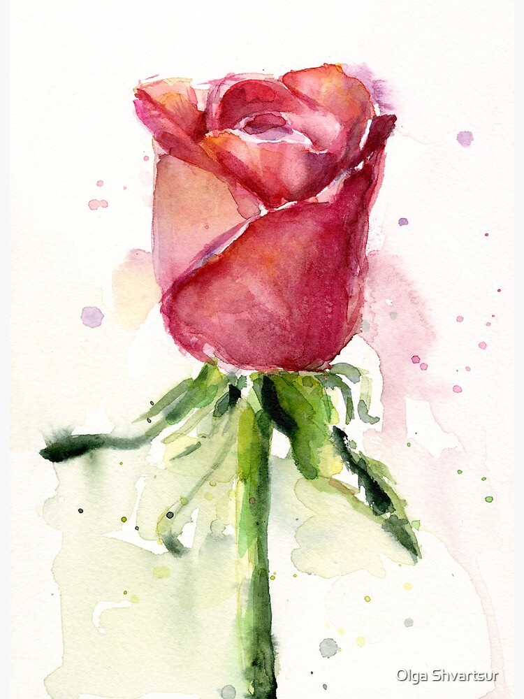 Impression rigide « Rose Aquarelle Peinture », par olga-shvartsur |  Redbubble