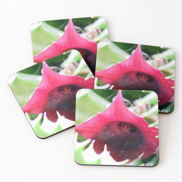 Item preview, ©NS TT Flower IIA designed and sold by OmarHernandez.