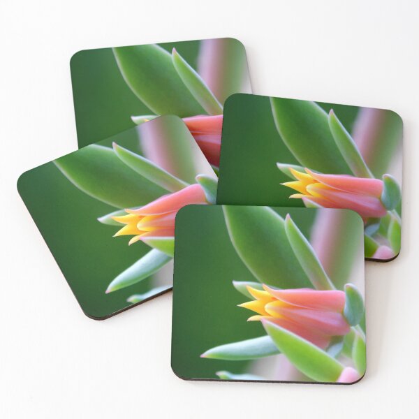 Item preview, ©NS TT Flower IAB designed and sold by OmarHernandez.