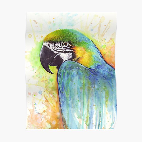 Macaw Watercolor Poster