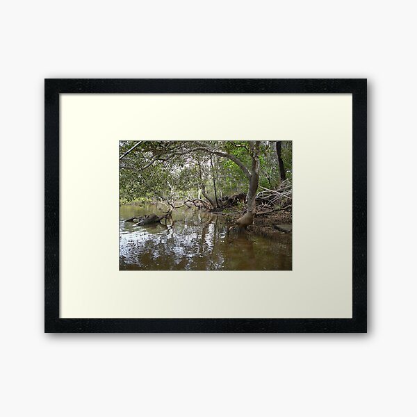 Item preview, Mud Crab Country , Corindi River designed and sold by Robyn J. Blackford.