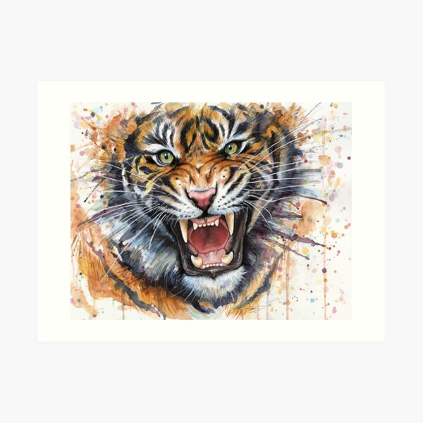 Wutend Tiger Aquarell Kunstdruck Von Olga Shvartsur Redbubble