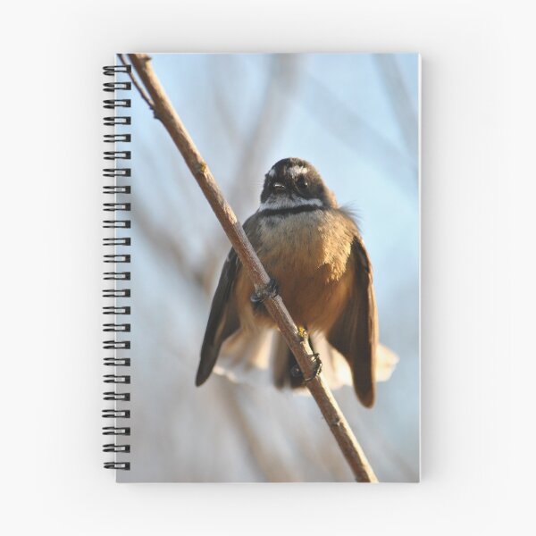 Item preview, Fantail designed and sold by thebirdemic.