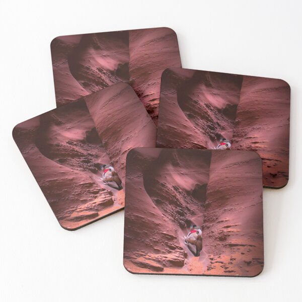 Item preview, Pug Navigates Tight Fit Slot Canyon designed and sold by pugventurephoto.