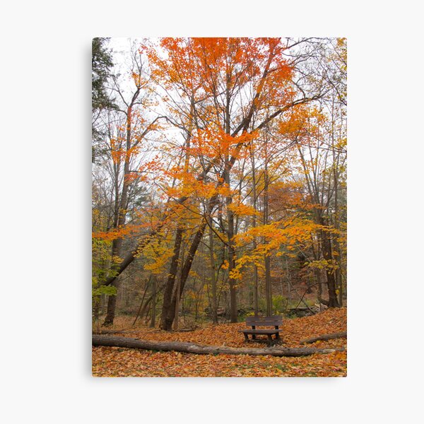 Time to think, time to reflect, time to embrace Canvas Print