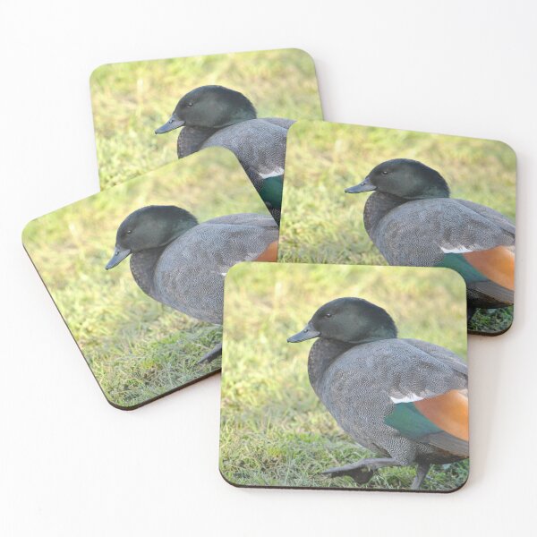 Item preview, Paradise Shelduck designed and sold by thebirdemic.