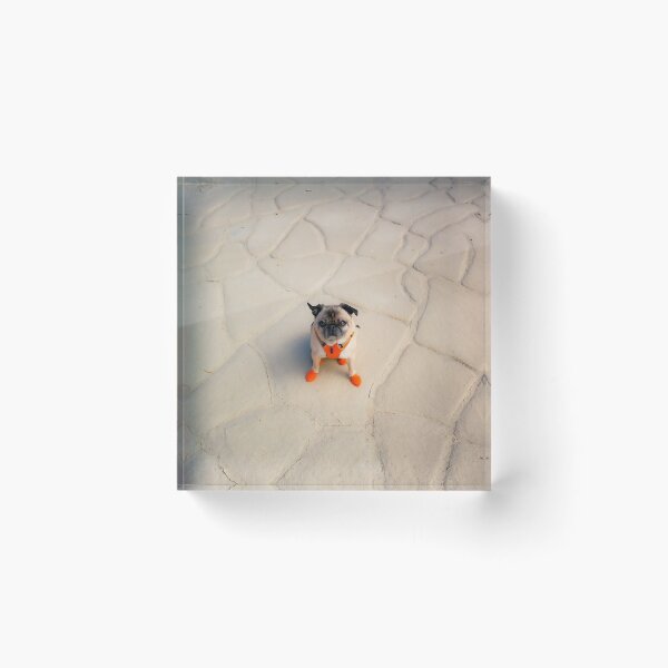 Item preview, Pug on Desert Tiles designed and sold by pugventurephoto.