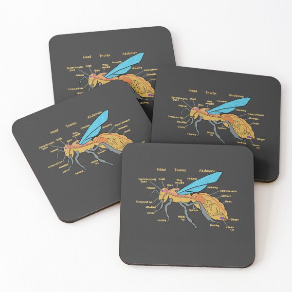 Item preview, Bee Anatomy - Bees - Bee Biology - Anatomy of a Bee designed and sold by isstgeschichte.