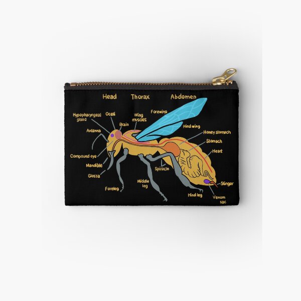 Item preview, Bee Anatomy - Bees - Bee Biology - Anatomy of a Bee designed and sold by isstgeschichte.