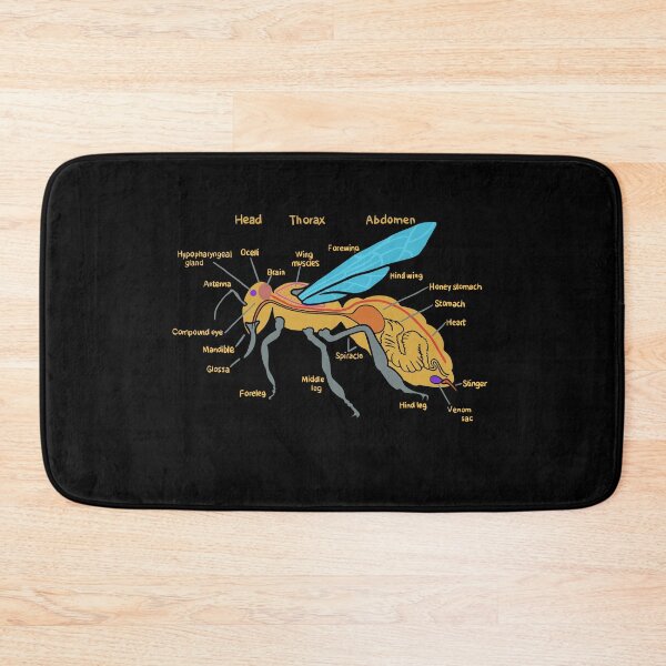 Item preview, Bee Anatomy - Bees - Bee Biology - Anatomy of a Bee designed and sold by isstgeschichte.