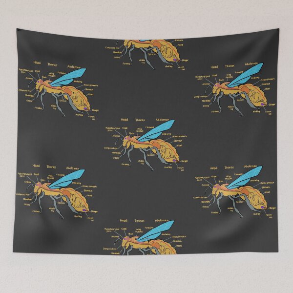 Item preview, Bee Anatomy - Bees - Bee Biology - Anatomy of a Bee designed and sold by isstgeschichte.