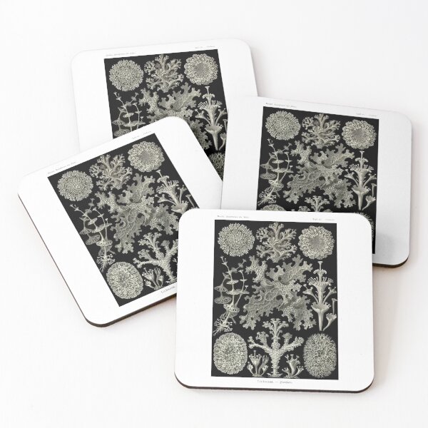 Item preview, Plate 83. Lichens, plants that are actually a symbiotic association of a fungus and an algae (or cyanobacterium). designed and sold by Squirrox.