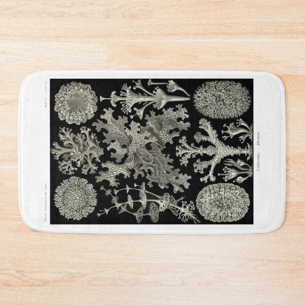 Item preview, Plate 83. Lichens, plants that are actually a symbiotic association of a fungus and an algae (or cyanobacterium). designed and sold by Squirrox.
