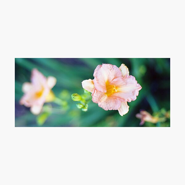 Item preview, Peach Reflection - color still life photo designed and sold by Brian Thedell.