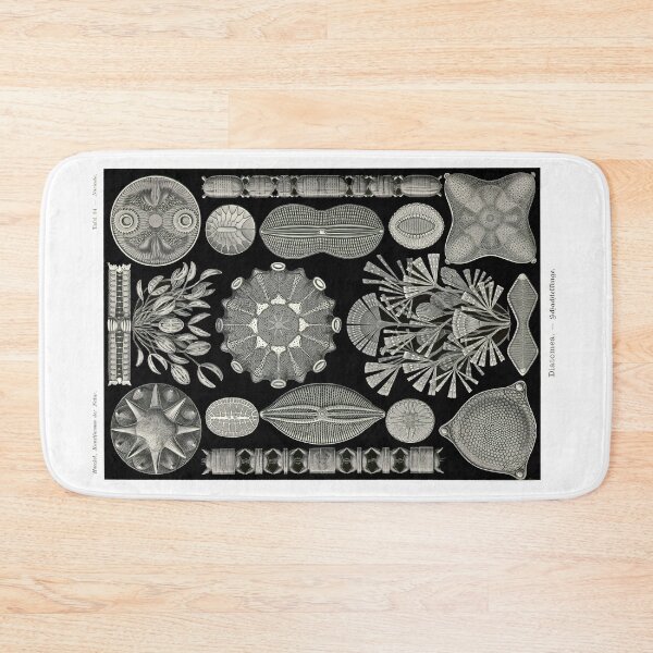 Item preview, Plate 84. Diatoms, a major group of microscopic marine creatures. designed and sold by Squirrox.